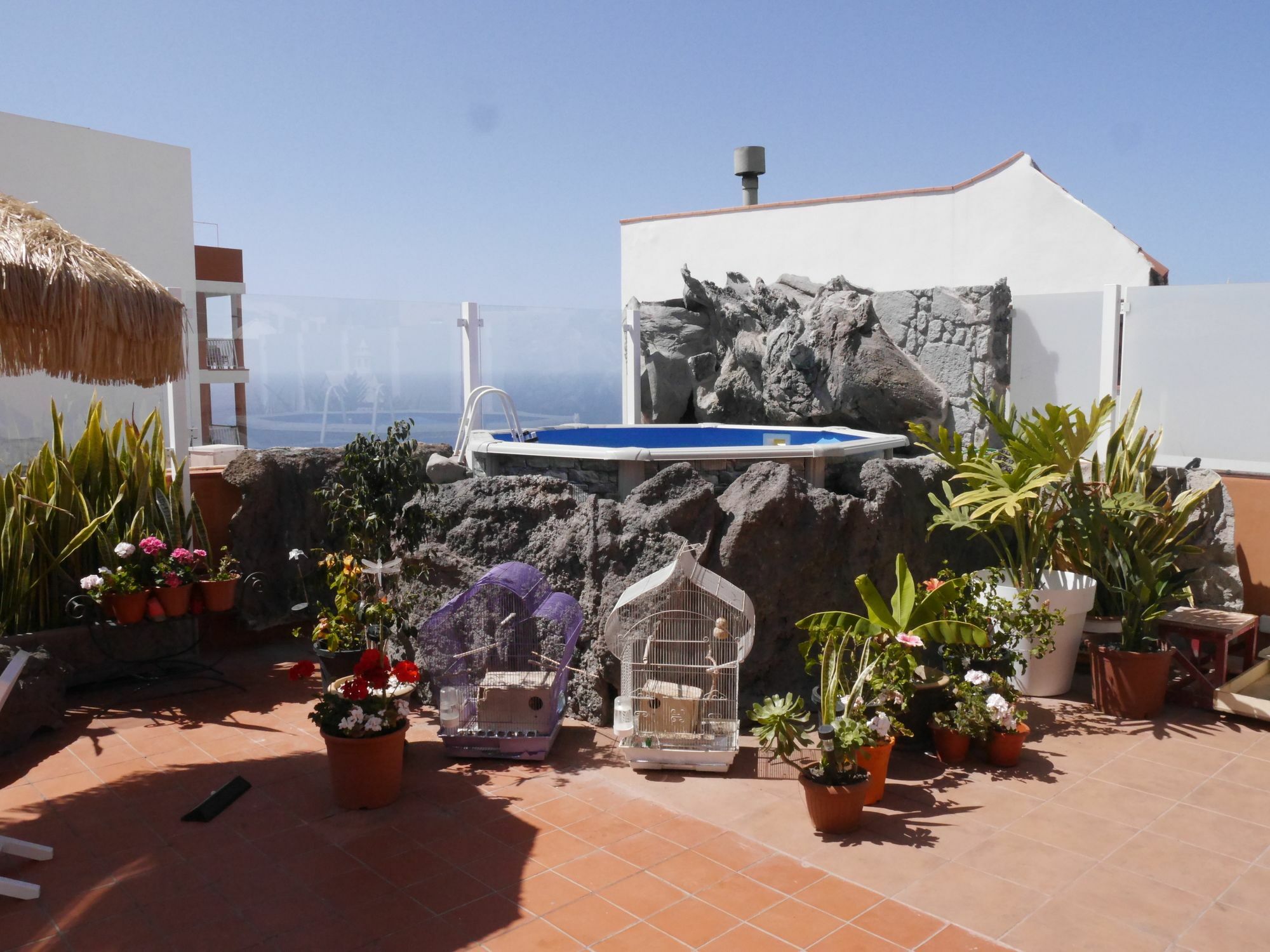 איקוד דה לוס וינוס Drago Hostel מראה חיצוני תמונה